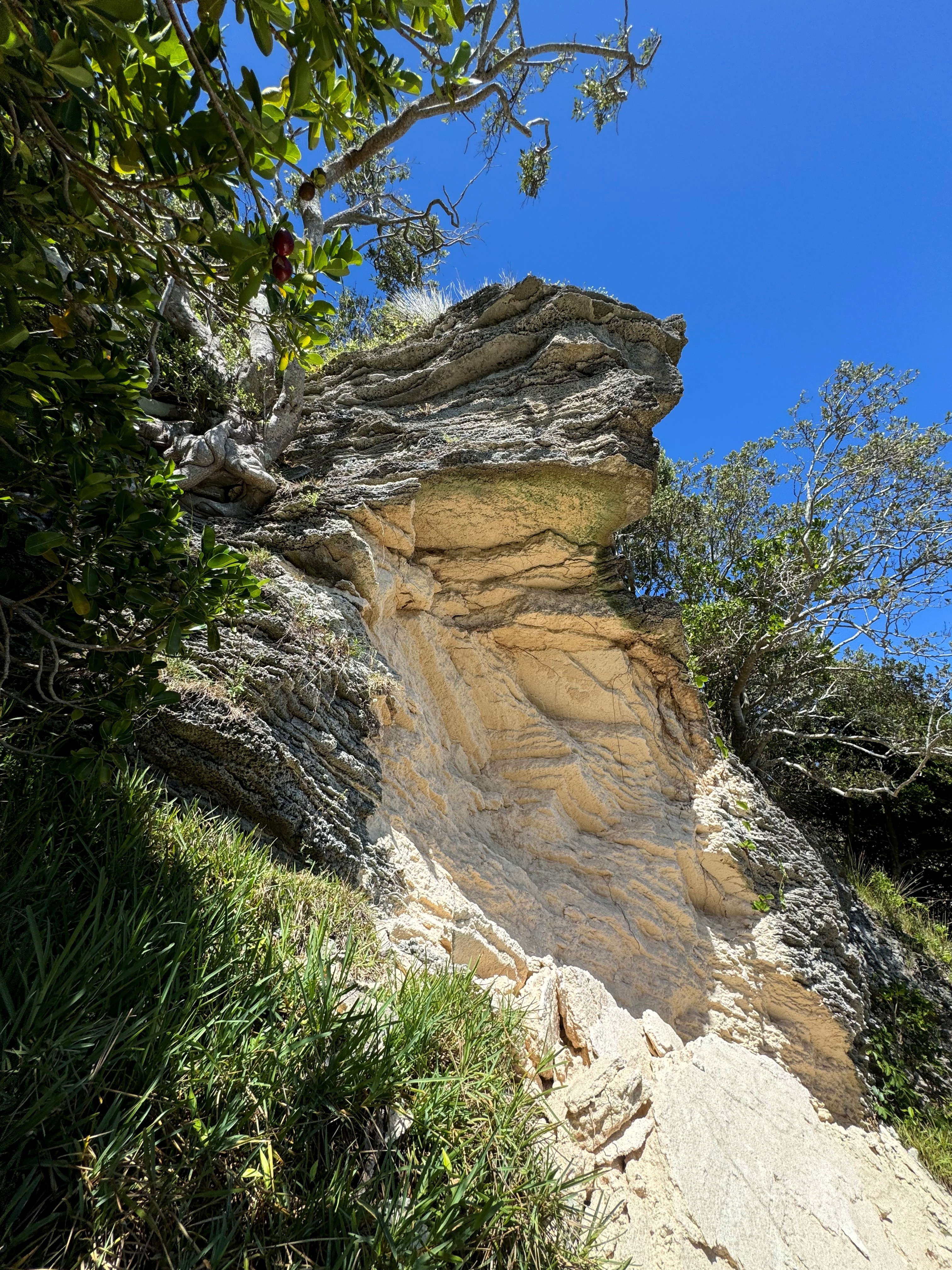 Neds Beach rock wall