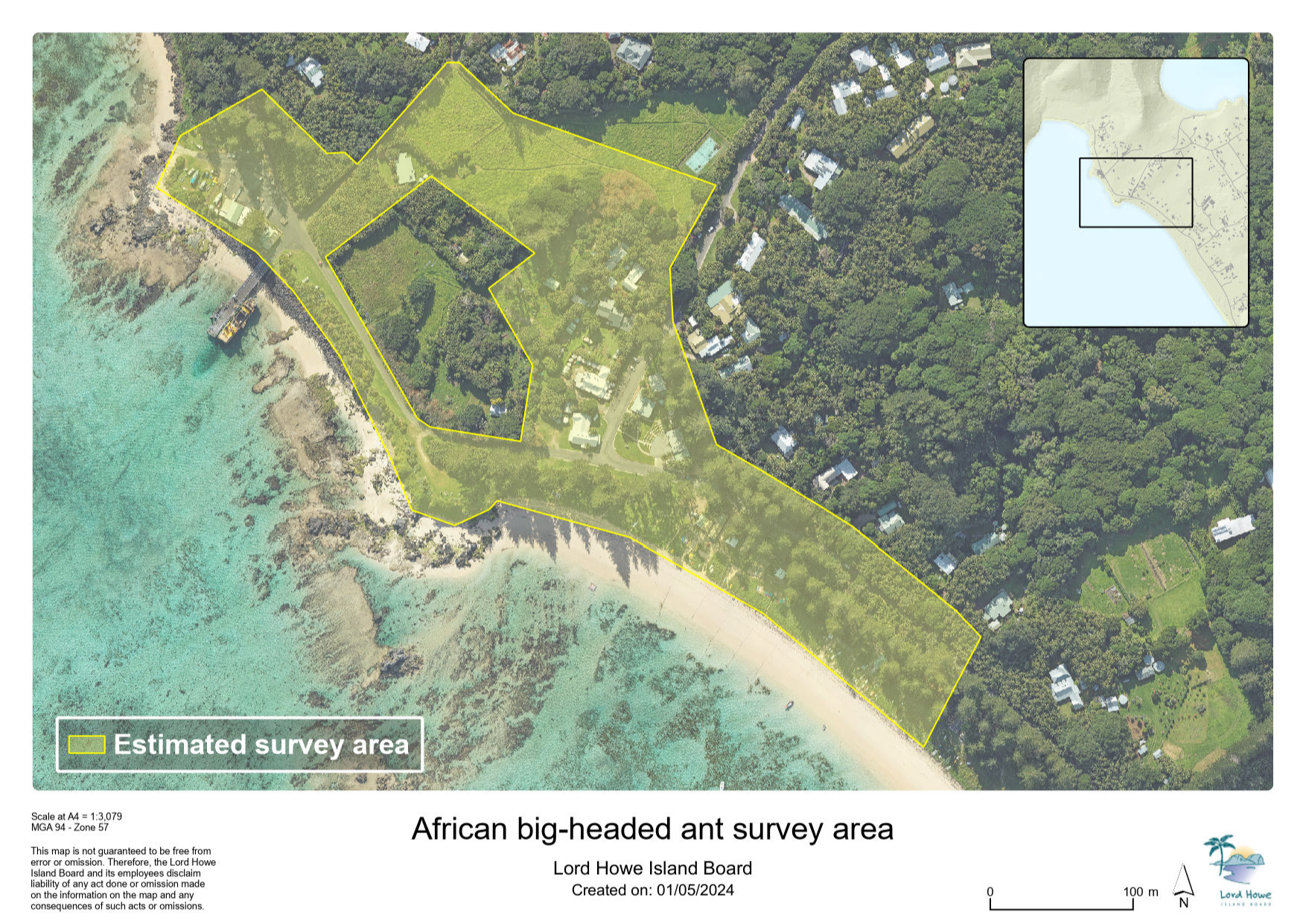 African big-headed ant survey area